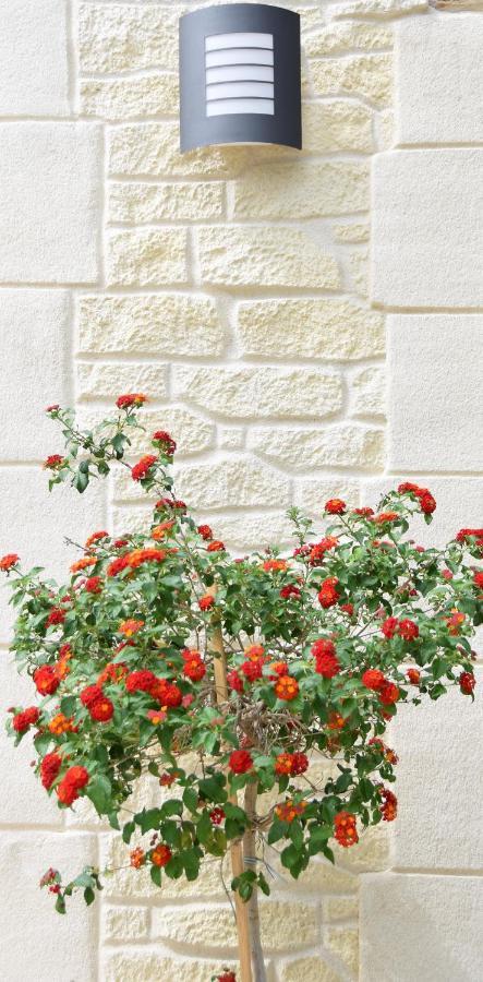 L'Atelier Bed & Breakfast Saint-Maximin  Exterior foto