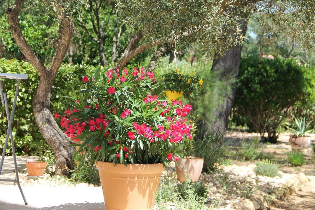 L'Atelier Bed & Breakfast Saint-Maximin  Exterior foto