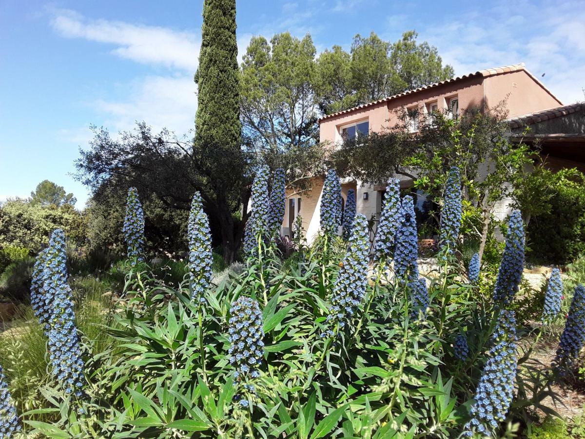 L'Atelier Bed & Breakfast Saint-Maximin  Exterior foto